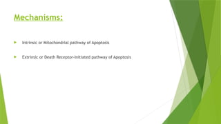 Mechanisms:
 Intrinsic or Mitochondrial pathway of Apoptosis
 Extrinsic or Death Receptor-Initiated pathway of Apoptosis
 