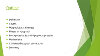 Outline
 Definition
 Causes
 Morphological changes
 Phases of Apoptosis
 Pro-Apoptotic & Anti-Apoptotic proteins
 Mechanisms
 Clinicopathological correlation
 Summary
 