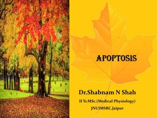 Dr.Shabnam N Shah
II Yr.MSc.Medical Physiology
JNUIMSRC,Jaipur
Dr.Shabnam N Shah
II Yr.MSc.(Medical Physiology)
JNUIMSRC,Jaipur
 