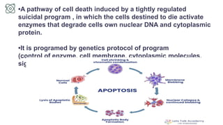 Comprehensive Seminar on Apoptosis: Programmed Cell Death Mechanisms ...