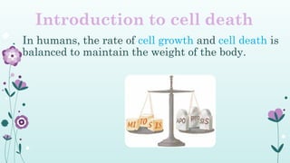 Pathology - Apoptosis and cell death.pptx