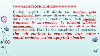 Pathology - Apoptosis and cell death.pptx