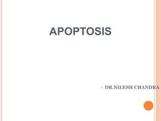 APOPTOSIS
- DR.NILESH CHANDRA
 