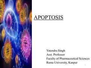 APOPTOSIS
Yatendra Singh
Asst. Professor
Faculty of Pharmaceutical Sciences
Rama University, Kanpur
1
 