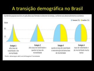 A transição demográfica no Brasil
 