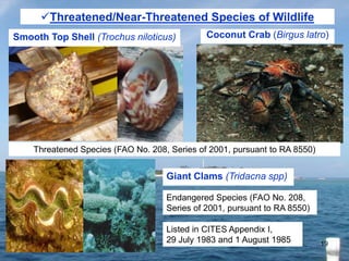 Threatened/Near-Threatened Species of Wildlife
Smooth Top Shell (Trochus niloticus)

Coconut Crab (Birgus latro)

Threate...