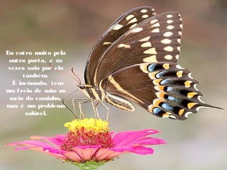 Eu entro muito pela
outra porta, e às
vezes saio por ela
também.
  É incômodo, tem
um freio de mão no
meio do caminho,
mas é um problema
  solúvel.
 