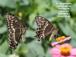 Se eu procurar,
vou encontrar
dezenas de
situações
irritantes e
  gente idem;
 