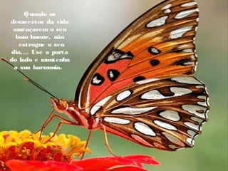 Quando os
desacertos da vida
ameaçarem o seu
bom humor, não
  estrague o seu
dia... Use a porta
do lado e mantenha
a sua harmonia.
 