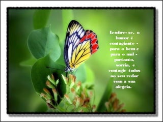 Lembre- se, o
humor é
contagiante -
para o bem e
para o mal -
portanto,
  sorria, e
contagie todos
ao seu redor
com a sua
alegria.
 