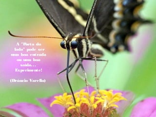 A "Porta do
  lado" pode ser
uma boa entrada
ou uma boa
saída...
Experimente!
 
(Dráuzio Varella)
 