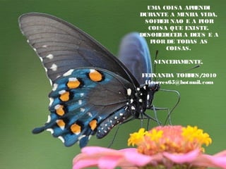 UMA COISA APRENDI
DURANTE A MINHA VIDA,
SOFRER NAO E A PIOR
COISA QUE EXISTE.
DESOBEDECER A DEUS E A
PIOR DE TODAS AS
COISAS.
SINCERAMENTE,
FERNANDA TORRES/2010
fftorres65@hotmail.com
 