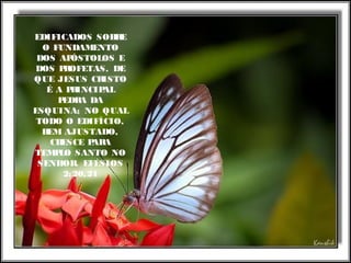EDIFICADOS SOBRE
O FUNDAMENTO
DOS APÓSTOLOS E
DOS PROFETAS, DE
QUE JESUS CRISTO
É A PRINCIPAL
PEDRA DA
ESQUINA; NO QUAL
TODO O EDIFÍCIO,
BEM AJUSTADO,
CRESCE PARA
TEMPLO SANTO NO
SENHOR. EFÉSIOS
2:20,21
 
