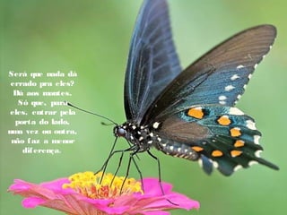 Será que nada dá
errado pra eles?
Dá aos montes.
Só que, para
eles, entrar pela
porta do lado,
uma vez ou outra,
não faz a menor
diferença.
 