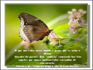 O que não falta neste mundo é gente que se acha o
último
  biscoito do pacote. Que "audácia" contrariá- los! São
aqueles que nunca  ouviram falar em saídas de
emergência:
fincam o pé, compram briga e não deixam barato.
 