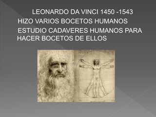 LEONARDO DA VINCI 1450 -1543
HIZO VARIOS BOCETOS HUMANOS
ESTUDIO CADAVERES HUMANOS PARA
HACER BOCETOS DE ELLOS
 