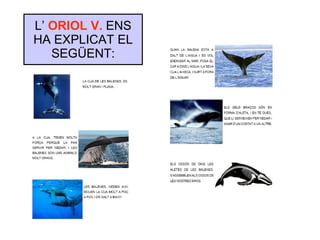 L’  ORIOL V.  ENS HA EXPLICAT EL SEGÜENT: 