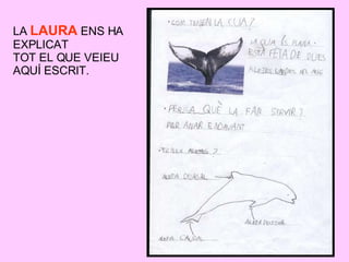 LA  LAURA  ENS HA EXPLICAT  TOT EL QUE VEIEU  AQUÍ ESCRIT. 
