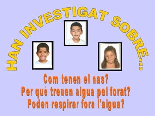 HAN INVESTIGAT SOBRE... Com tenen el nas? Per què treuen aigua pel forat? Poden respirar fora l'aigua? 