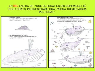 EN  NIL  ENS HA DIT: “QUE EL FORAT ES DIU ESPIRACLE I TÉ DOS FORATS. PER RESPIRAR FORA L’AIGUA TREUEN AIGUA PEL FORAT.”  