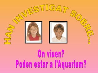 HAN INVESTIGAT SOBRE... On viuen? Poden estar a l'Aquarium? 