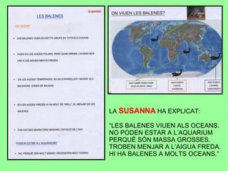 LA  SUSANNA   HA EXPLICAT: “ LES BALENES VIUEN ALS OCEANS. NO PODEN ESTAR A L’AQUARIUM  PERQUÈ SÓN MASSA GROSSES. TROBEN MENJAR A L’AIGUA FREDA. HI HA BALENES A MOLTS OCEANS.” 