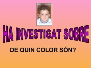 HA INVESTIGAT SOBRE DE QUIN COLOR SÓN? 