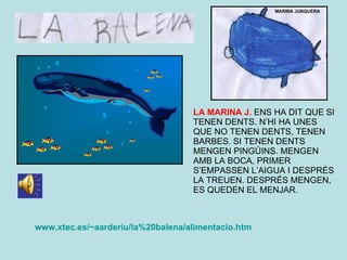 www.xtec.es/~aarderiu/la%20balena/alimentacio.htm   www.xtec.es/~aarderiu/la%20balena/alimentacio.htm   www.xtec.es/~aarderiu/la%20balena/alimentacio.htm   LA MARINA J.  ENS HA DIT QUE SI TENEN DENTS. N’HI HA UNES QUE NO TENEN DENTS, TENEN BARBES. SI TENEN DENTS MENGEN PINGÜINS. MENGEN AMB LA BOCA, PRIMER S’EMPASSEN L’AIGUA I DESPRÉS LA TREUEN. DESPRÉS MENGEN, ES QUEDEN EL MENJAR. 