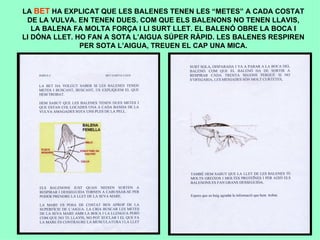 Aportacions Dels Alumnes 5