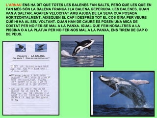 Aportacions Dels Alumnes 5