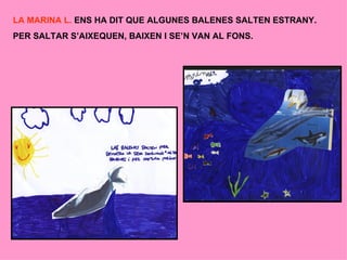 Aportacions Dels Alumnes 5