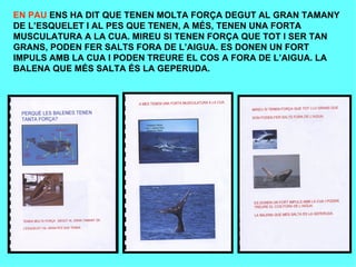 Aportacions Dels Alumnes 5