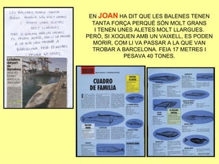 Aportacions Dels Alumnes 5