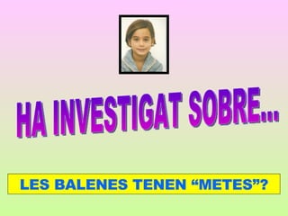 Aportacions Dels Alumnes 5