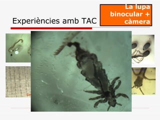 La lupa binocular + càmera Experiències amb TAC 