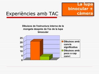 La lupa binocular + càmera Experiències amb TAC 