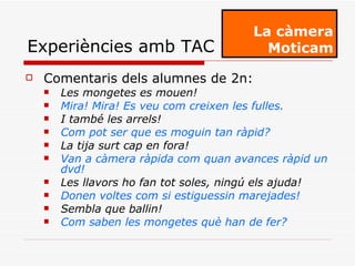 Comentaris dels alumnes de 2n: Les mongetes es mouen! Mira! Mira! Es veu com creixen les fulles. I també les arrels! Com pot ser que es moguin tan ràpid? La tija surt cap en fora! Van a càmera ràpida com quan avances ràpid un dvd! Les llavors ho fan tot soles, ningú els ajuda! Donen voltes com si estiguessin marejades! Sembla que ballin! Com saben les mongetes què han de fer? La càmera Moticam Experiències amb TAC 