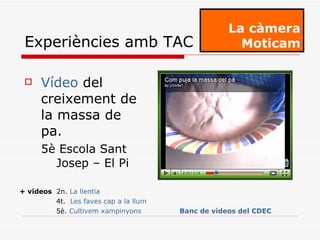 Vídeo  del creixement de la massa de pa.  5è Escola Sant Josep – El Pi La càmera Moticam Experiències amb TAC + vídeos   2n.  La llentia   4t.  Les faves cap a la llum   5è.  Cultivem xampinyons   Banc de vídeos del CDEC   
