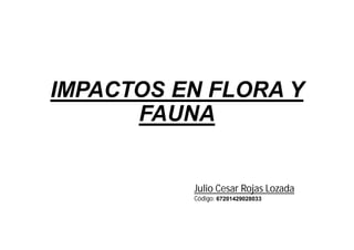 IMPACTOS EN FLORA Y 
FAUNA 
Julio Cesar Rojas Lozada 
Código: 67201429028033 
 