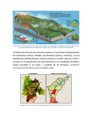 Ilustración 1. Flujo del agua en los páramos. Fuente: Guía divulgativa de criterios para la delimitación
de páramos Ministerio de Ambiente y Desarrollo Sostenible – Instituto Von Humboldt
El Páramo del Sumapaz Se encuentra ubicado en 5 municipios del departamento
de Cundinamarca (Pasca, Arbeláez, San Bernardo, Cabrera y Gutiérrez); 6 en el
departamento del Meta (Acacias, Guamal, Cubarral, el Castillo, Lejanías y Uribe) 1
municipio en el departamento del Huila (Colombia) y en 2 localidades del Distrito
Capital (Localidad 5 de Usme y Localidad 20 de Sumapaz). (PARQUES
NATURALES NACIONALES DE COLOMBIA, 2009)
Ilustración 2 Ubicación Páramo de Sumapaz. Fuente (OSPINA RODRIGUEZ, 2003)
 
