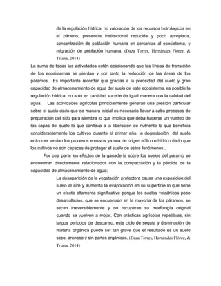 de la regulación hídrica, no valoración de los recursos hidrológicos en
el páramo, presencia institucional reducida y poco apropiada,
concentración de población humana en cercanías al ecosistema, y
migración de población humana. (Daza Torres, Hernándes Flórez, &
Triana, 2014)
La suma de todas las actividades están ocasionando que las líneas de transición
de los ecosistemas se pierdan y por tanto la reducción de las áreas de los
páramos. Es importante recordar que gracias a la porosidad del suelo y gran
capacidad de almacenamiento de agua del suelo de este ecosistema, es posible la
regulación hídrica, no solo en cantidad sucede de igual manera con la calidad del
agua. Las actividades agrícolas principalmente generan una presión particular
sobre el suelo dado que de manera inicial es necesario llevar a cabo procesos de
preparación del sitio para siembra lo que implica que deba hacerse un vuelteo de
las capas del suelo lo que conlleva a la liberación de nutriente lo que beneficia
considerablemente los cultivos durante el primer año, la degradación del suelo
entonces se dan los procesos erosivos ya sea de origen eólico o hídrico dado que
los cultivos no son capaces de proteger el suelo de estos fenómenos .
Por otra parte los efectos de la ganadería sobre los suelos del páramo se
encuentran directamente relacionados con la compactación y la pérdida de la
capacidad de almacenamiento de agua;
La desaparición de la vegetación protectora causa una exposición del
suelo al aire y aumenta la evaporación en su superficie lo que tiene
un efecto altamente significativo porque los suelos volcánicos poco
desarrollados, que se encuentran en la mayoría de los páramos, se
secan irreversiblemente y no recuperan su morfología original
cuando se vuelven a mojar. Con prácticas agrícolas repetitivas, sin
largos periodos de descanso, este ciclo de sequía y disminución de
materia orgánica puede ser tan grave que el resultado es un suelo
seco, arenoso y sin partes orgánicas. (Daza Torres, Hernándes Flórez, &
Triana, 2014)
 