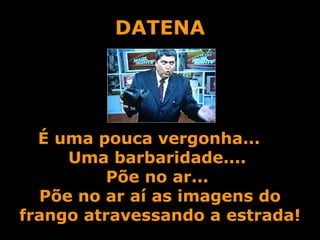 DATENA É uma pouca vergonha...  Uma barbaridade....  Põe no ar...  Põe no ar aí as imagens do frango atravessando a estrada! 