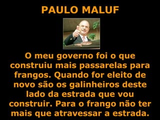 PAULO MALUF O meu governo foi o que construiu mais passarelas para frangos. Quando for eleito de novo são os galinheiros deste lado da estrada que vou construir. Para o frango não ter mais que atravessar a estrada. 