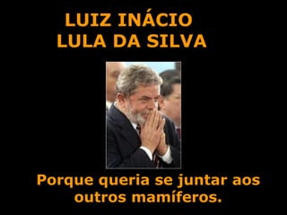 LUIZ INÁCIO  LULA DA SILVA Porque queria se juntar aos outros mamíferos. 