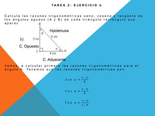 T A R E A 2 : E J E R C I C I O b
C a l c u l a l a s r a z o n e s t r i g o n o m é t r i c a s s e n o , c o s e n o y t a n g e n t e d e
l o s á n g u l o s a g u d o s ( A y B ) d e c a d a t r i á n g u l o r e c t á n g u l o q u e
a p a r e c e n a b a j o .
V a m o s a c a l c u l a r p r i m e r o l a s r a z o n e s t r i g o n o m é t r i c a s p a r a e l
á n g u l o A . T e n e m o s q u e l a s r a z o n e s t r i g o n o m é t r i c a s s o n :
𝑆 𝑒 𝑛 𝛼 =
𝑐 . 𝑜
ℎ
𝐶 𝑜 𝑠 𝛼 =
𝑐 . 𝑎
ℎ
𝑇 𝑎 𝑛 𝛼 =
𝑐 . 𝑜
𝑐 . 𝑎
hipotenusa
C. Adyacente
C. Opuesto
 