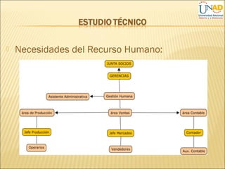  Necesidades del Recurso Humano:
 