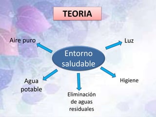 TEORIA
Entorno
saludable
Aire puro
Eliminación
de aguas
residuales
Luz
Agua
potable
Higiene
 