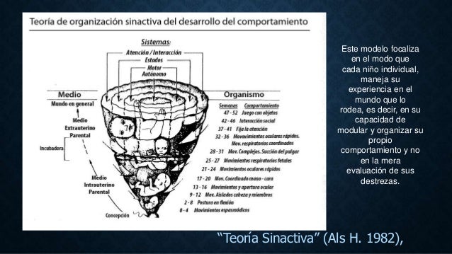 Teoria sinactiva