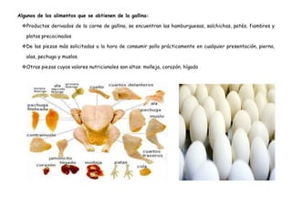Algunos de los alimentos que se obtienen de la gallina:
Productos derivados de la carne de gallina, se encuentran las hamburguesas, salchichas, patés, fiambres y
platos precocinados
De las piezas más solicitadas a la hora de consumir pollo prácticamente en cualquier presentación, pierna,
alas, pechuga y muslos.
Otras piezas cuyos valores nutricionales son altos: molleja, corazón, hígado
 