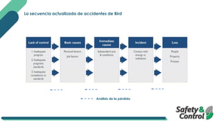 La secuencia actualizada de accidentes de Bird
Análisis de la pérdida
 